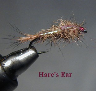Hare's Ear / McKenzie River fly fishing / McKenzie River fly fishing guide