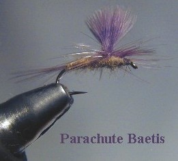 Parachute Baetis / McKenzie River Fly Fishing / McKenzie River Fly Fishing Guide