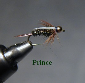 Prince / McKenzie River fly fishing / McKenzie River fly fishing guide